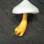 LED Mushroom Wall Lamp photo review