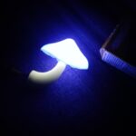 LED Mushroom Wall Lamp photo review